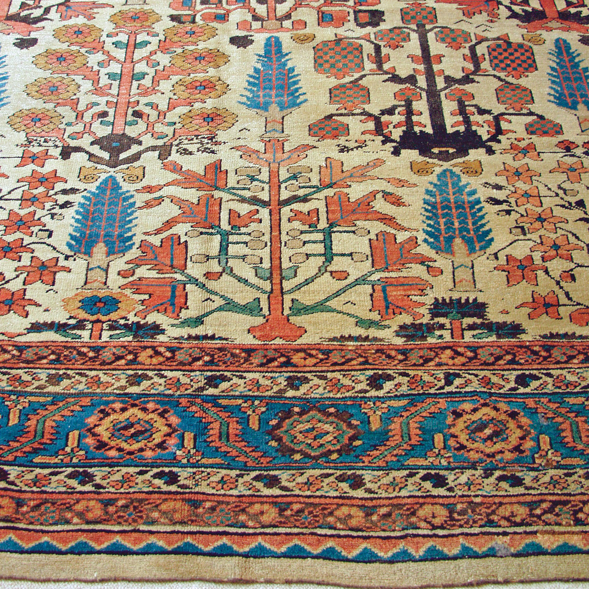 Border and field detail from a 19th century northwest Persian Bakshaish carpet with a Shrub design, Douglas Stock Gallery, antique Persian carpets, Boston,MA area, antique carpets New York