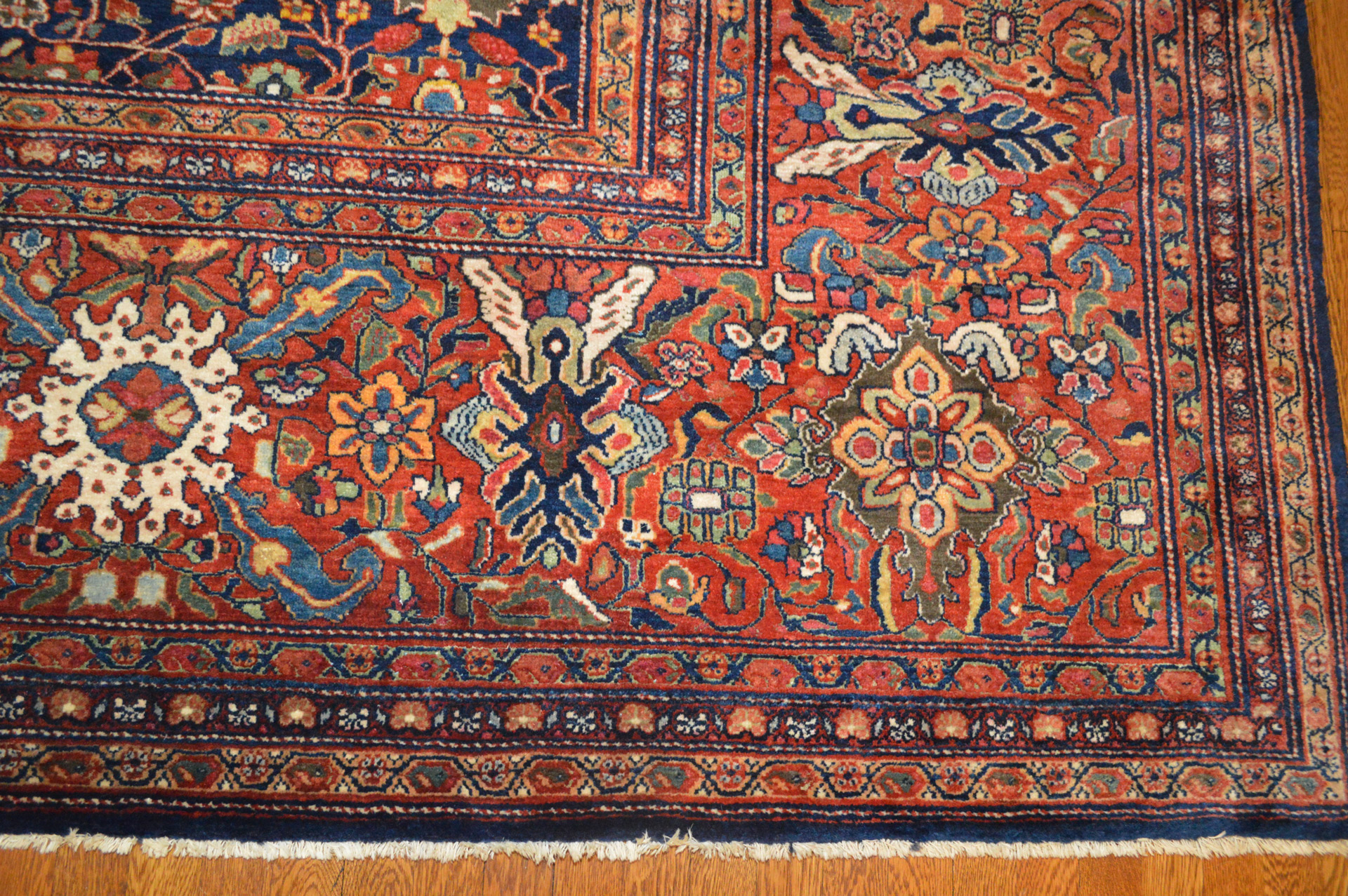 A large antique Fereghan Sarouk carpet, central Persia, with a navy blue field decorated with an all-over design and framed by a wide, red border. Douglas Stock Gallery, antique rugs, Boston,MA area