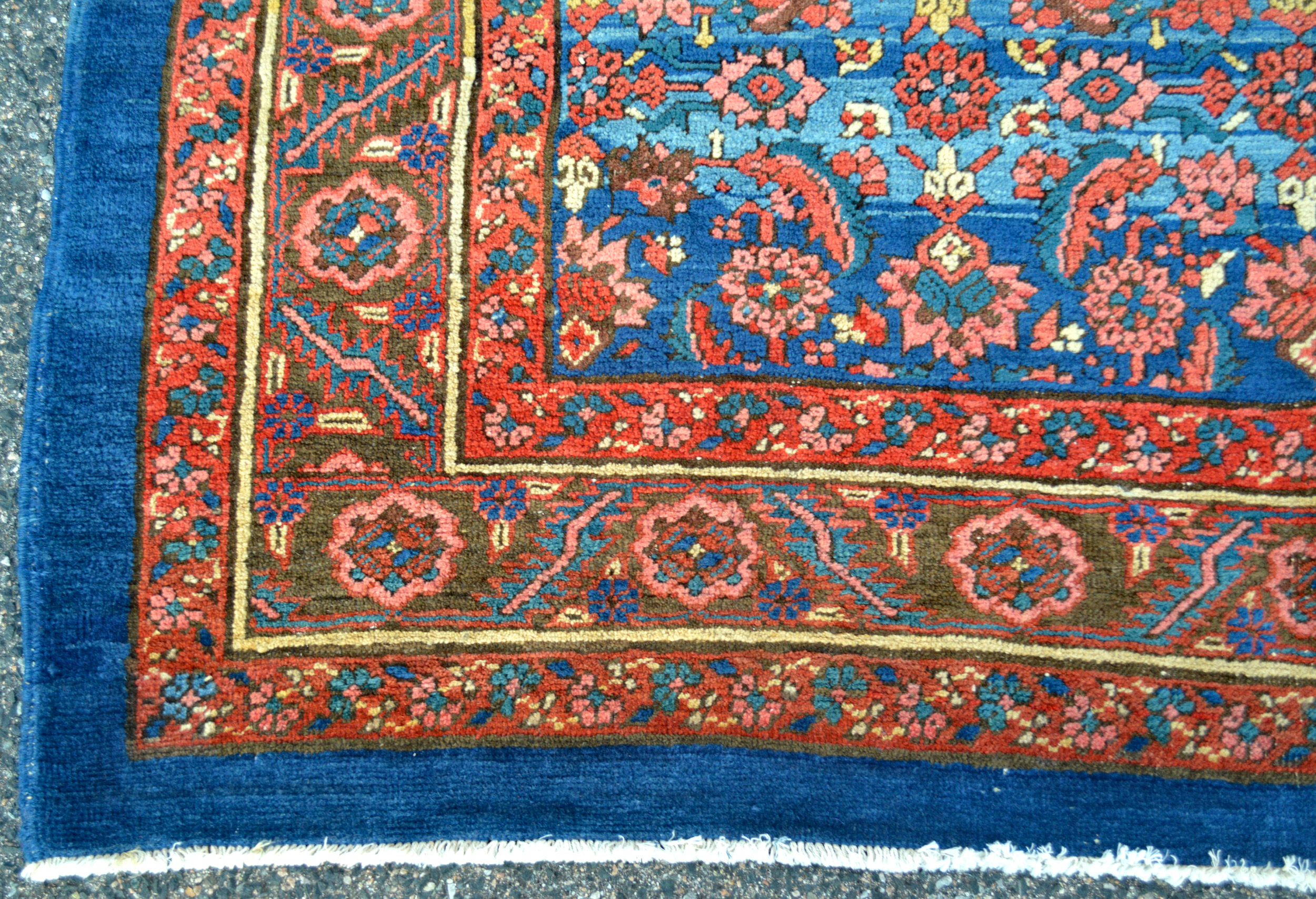 Border detail from an antique Persian Bakshaish carpet - Douglas Stock Gallery