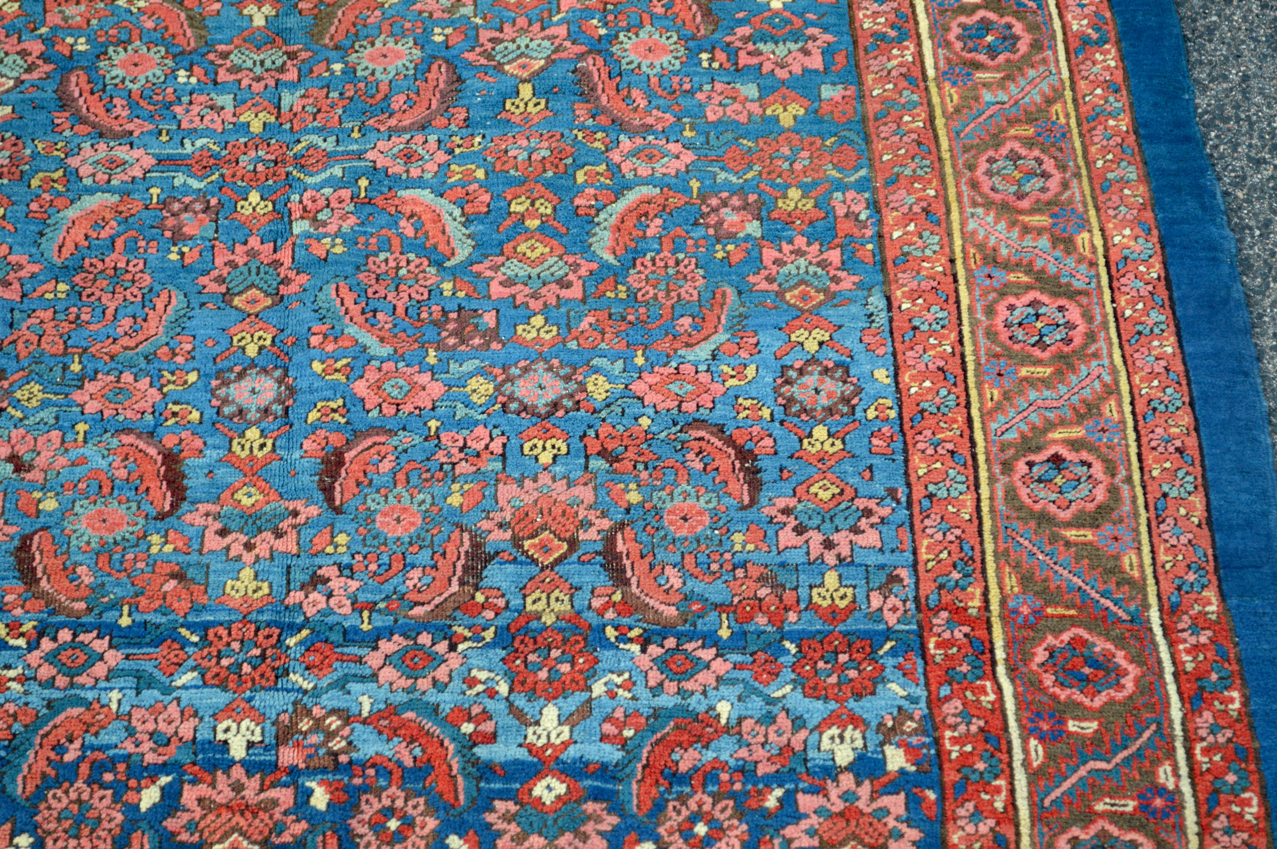Detail of the Herati design field in an antique northwest Persian Bakshaish carpet - Douglas Stock Gallery, antique Oriental rugs, Persian carpets Boston,MA area