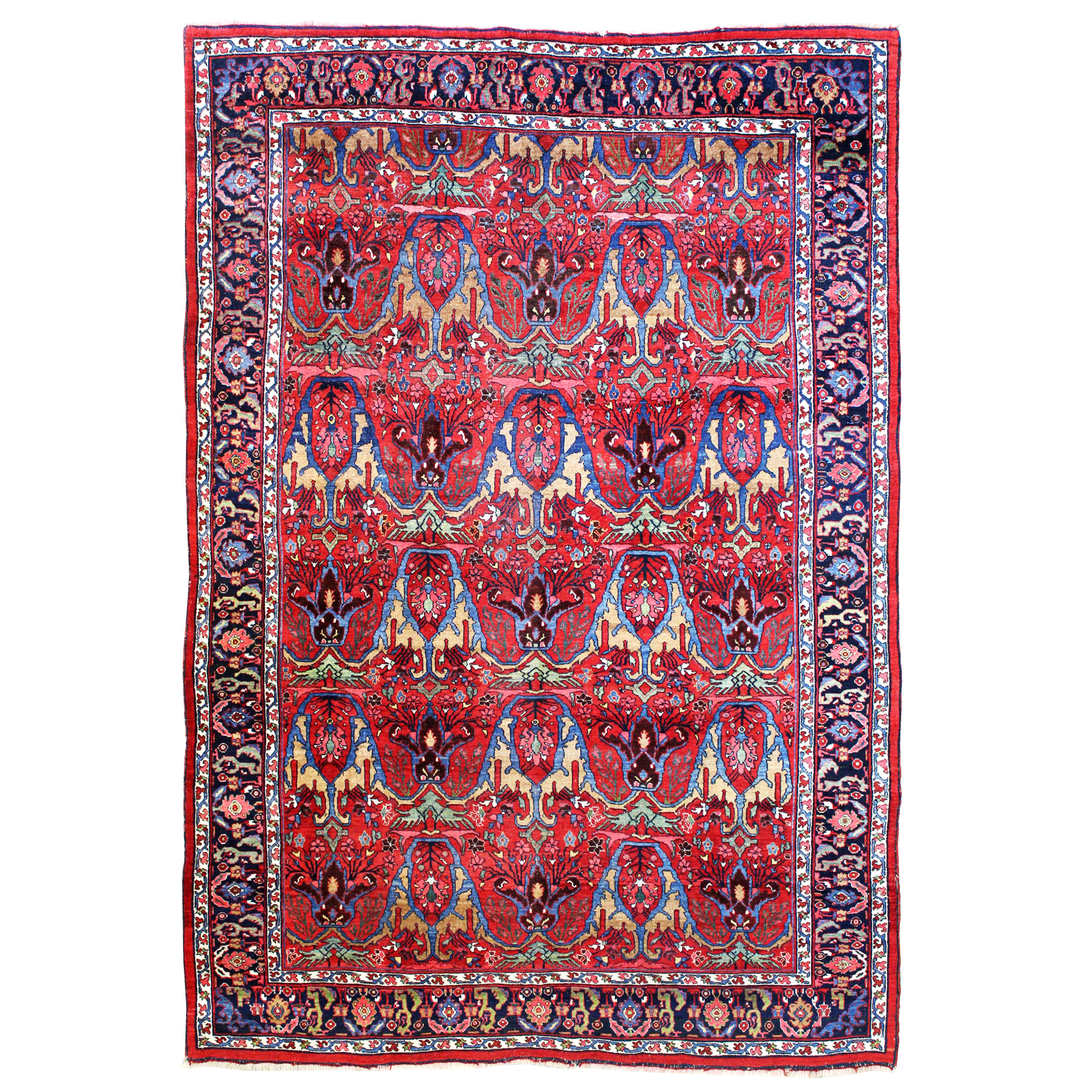Antique Calyx Design Bidjar carpet