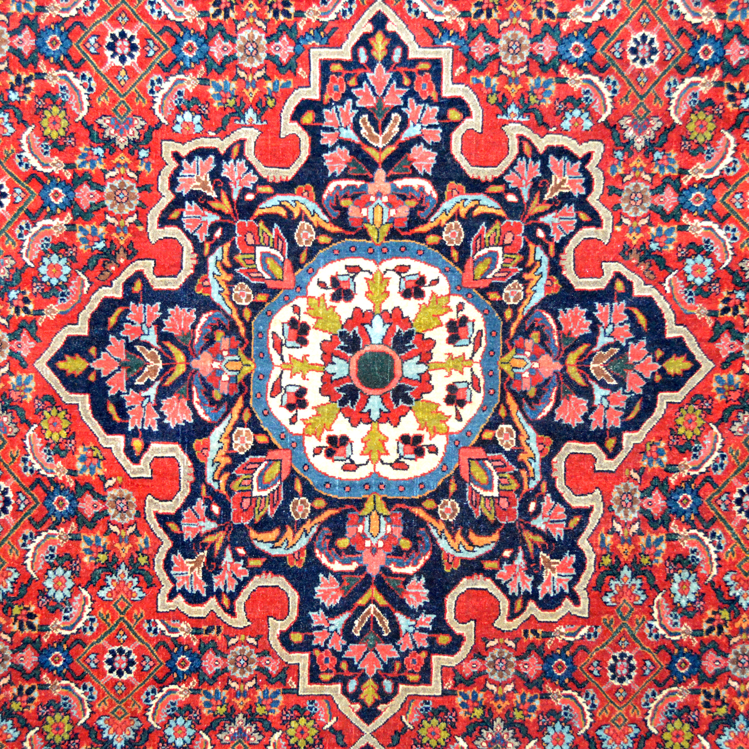 Medallion and Herati design field detail from an antique Persian Halvai Bidjar rug, circa 1920 - Douglas Stock Gallery, antique rugs Boston,MA area