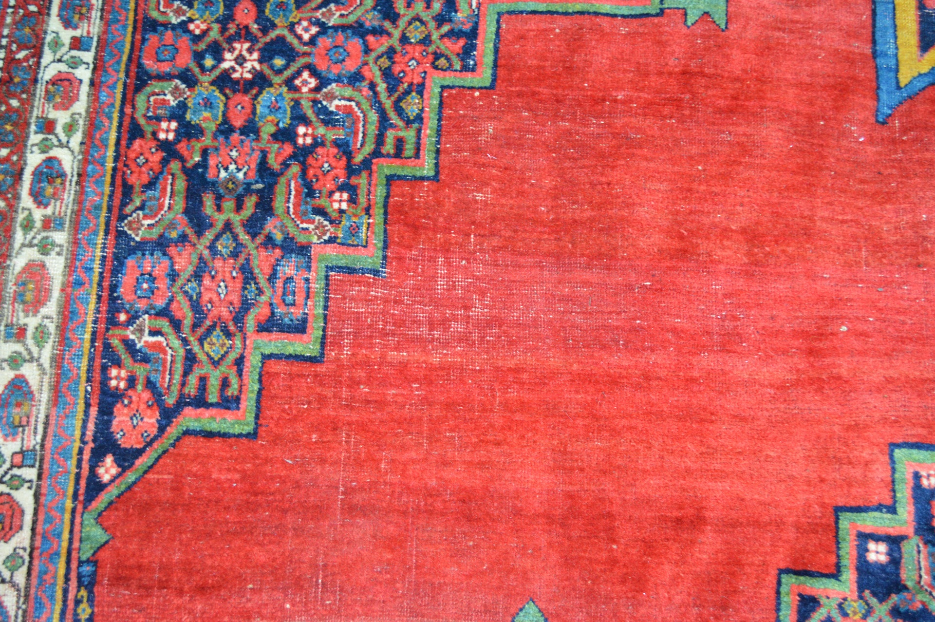 Detail of the red open field and navy, Herati design corner spandrel in an antique Persian Bidjar carpet - Douglas Stock Gallery