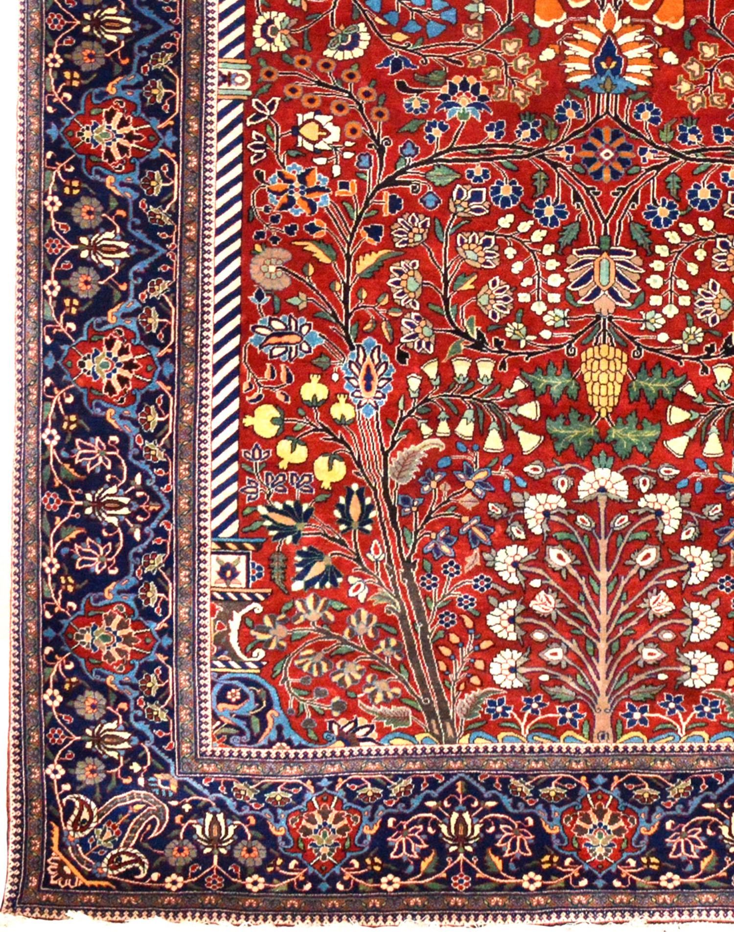 Detail of an antique Persian Mohtasham Kashan rug with a brick red field and navy border, Douglas Stock Gallery, antique rugs Boston,MA area