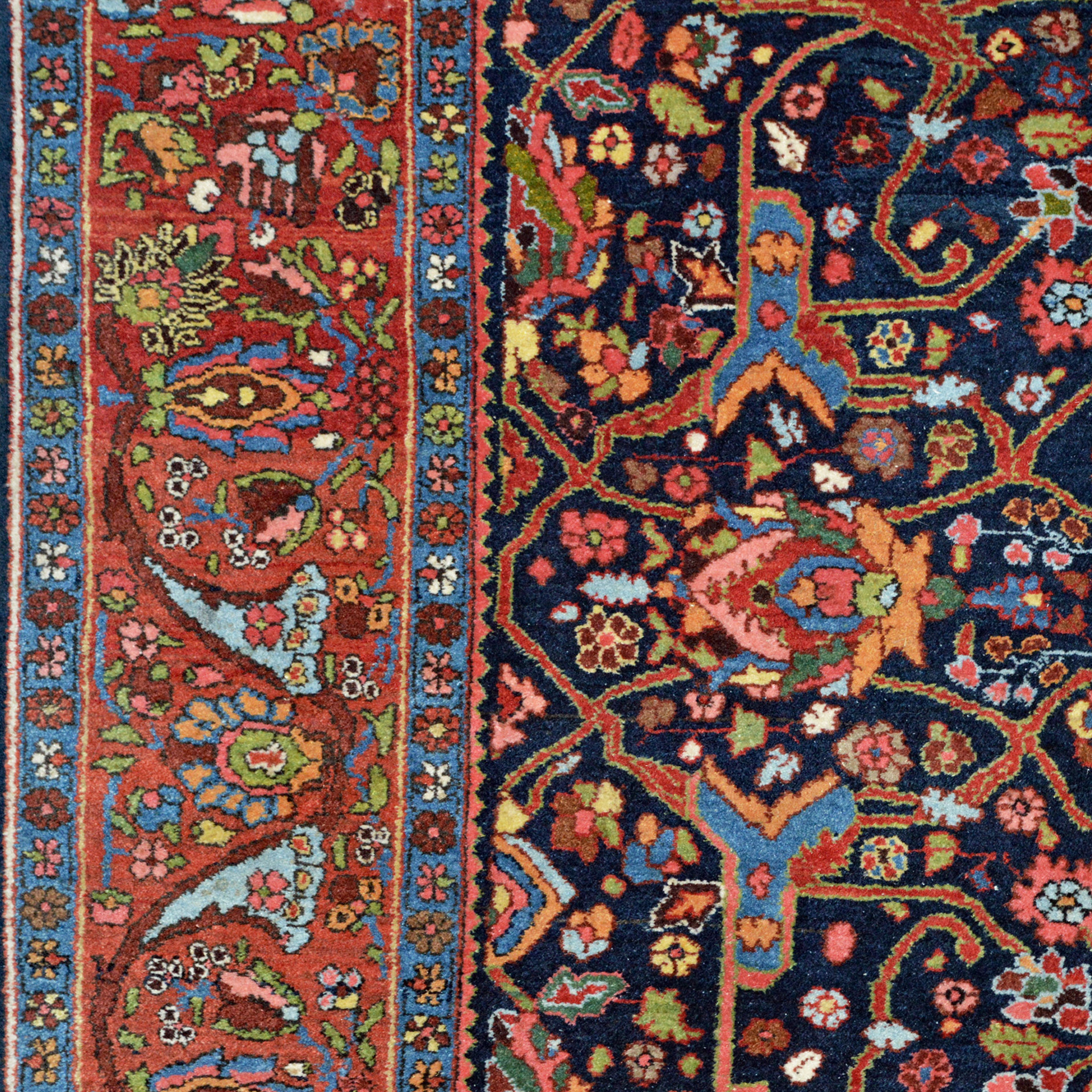Red major border detail and navy blue field detail from an antique Bidjar rug with a version of the Split Arabesque design. Douglas Stock Gallery, antique run Boston,Ma area
