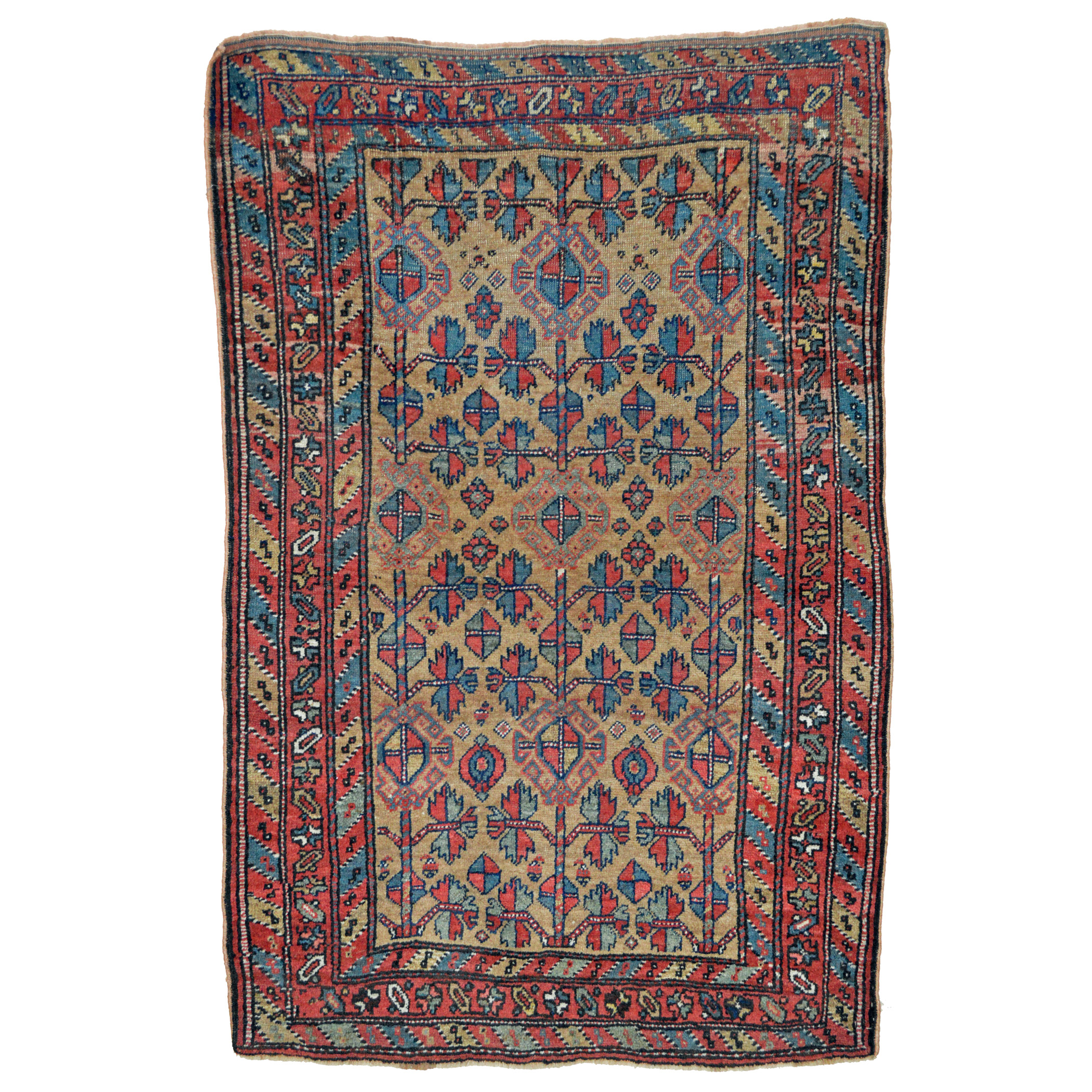 An antique northwest Persian Kurdish tribal rug with stylized leaves and flowers on a camel color field. Diagonal stripe guard borders and an abstract scrolling vine border with leaves and flowers frame the field, circa 1900. Douglas Stock Gallery offers a selection of antique Persian tribal rugs including antique Kurdish rugs, antique Afshar rugs, antique Bakhtiari rugs and antique QashQa'i rugs, antique tribal rugs Boston,MA area, antique tribal rugs Cambridge, Brookline, Newton, Belmont, Concord, Needham, Natick,MA area - antique Oriental rugs for interior designers and decorators, antique rug for new collectors