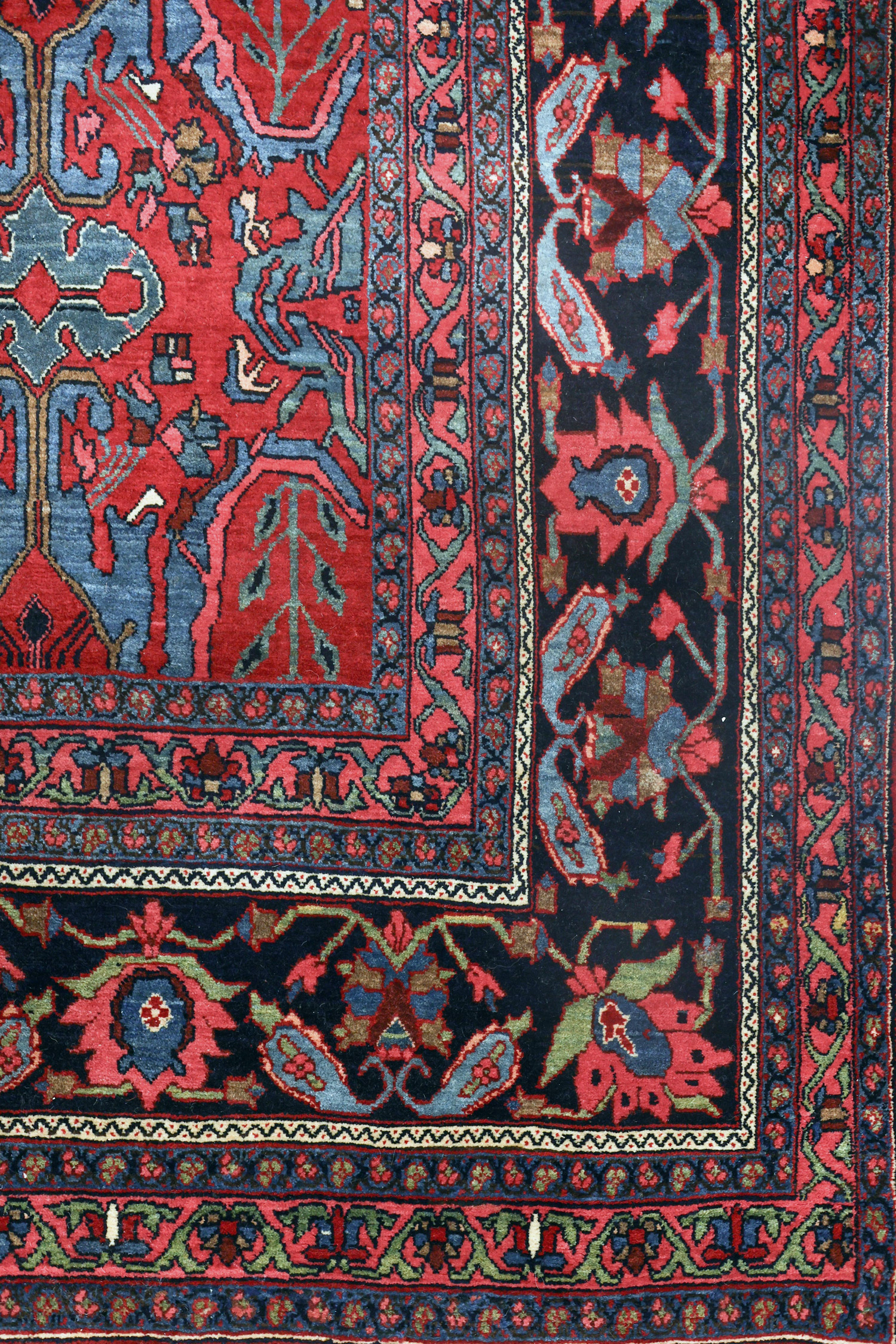Detail of the navy blue border from an antique Persian Bidjar carpet that features a red field that is decorated with the famous Calyx design, northwest Persia, circa 1910 - Douglas Stock Gallery is one of America's leading dealers in antique Persian Bidjar, Senneh and Kurdish nomadic run from northwest Persia's Kurdistan province.